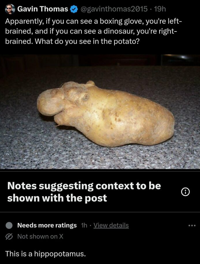 ginger - Gavin Thomas 19h Apparently, if you can see a boxing glove, you're left brained, and if you can see a dinosaur, you're right brained. What do you see in the potato? Notes suggesting context to be shown with the post Needs more ratings th View det